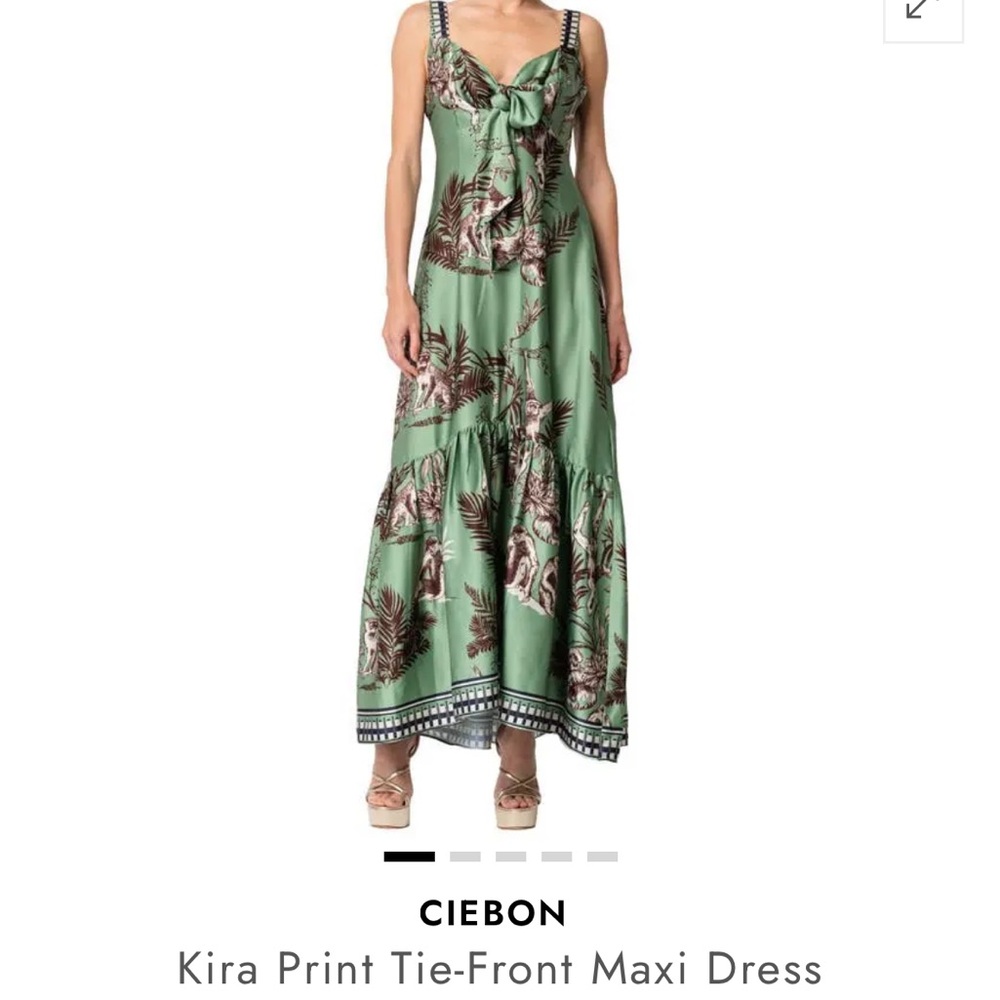 Ciebon Kira Monkey Print Front Tie Satin Maxi Dress